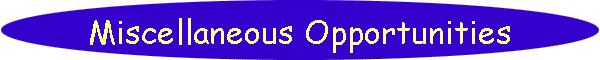 Miscellaneous Opportunities